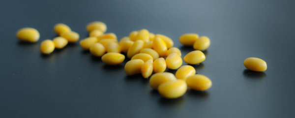 新鲜大豆最好的储存方法