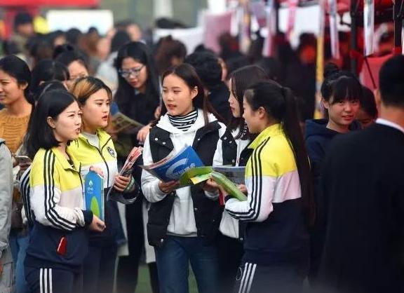 教师考编通过率是多少