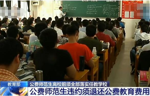 教师考编通过率是多少