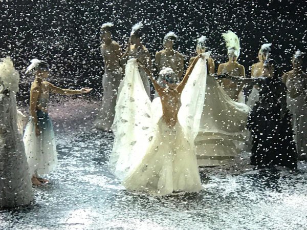 舞蹈考级证书有几种哪个最权威