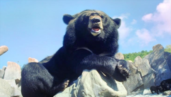 青岛适合孩子玩的地方有哪些