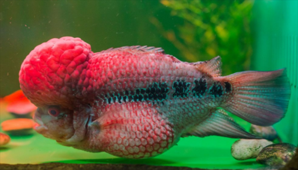 青岛适合孩子玩的地方有哪些