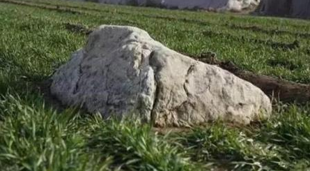 世界上最矮的山