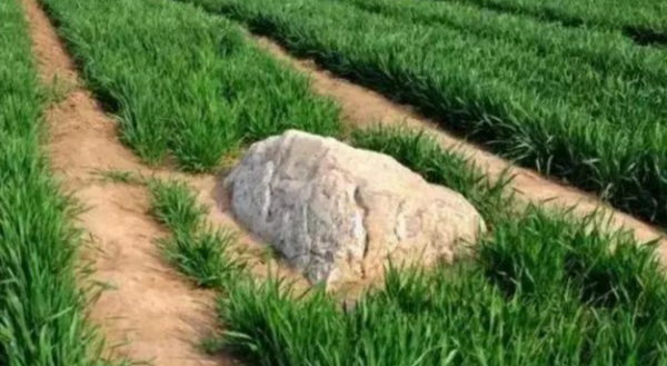 世界上最矮的山