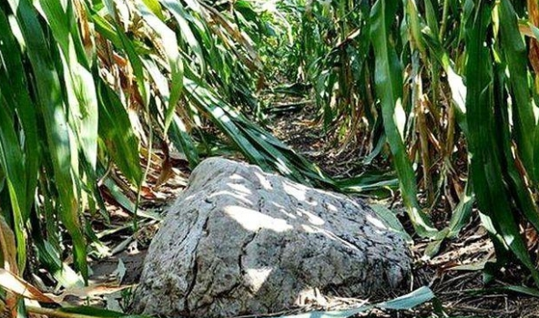 世界上最矮的山