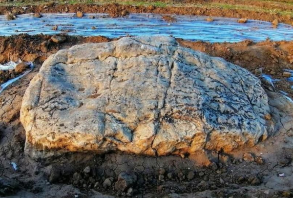 世界上最矮的山