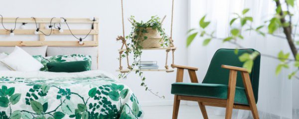 卧室放什么可以进财