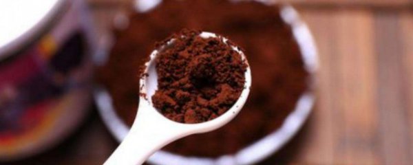 灵芝孢子粉一次吃多少合适