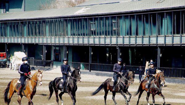 最贵的马是什么马