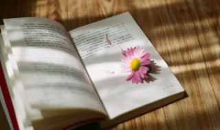 励志语录早安 关于早安的励志短句