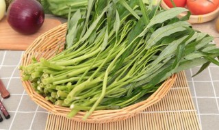 适合夏天种的蔬菜 适合夏季种的蔬菜