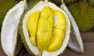 榴莲怎样挑选 挑选榴莲的小技巧