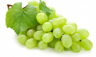 葡萄需要放冰箱保存吗 葡萄要不要放冰箱保存