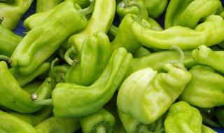 家庭储存青辣椒的五种方法 家庭储存青辣椒有哪五种方法