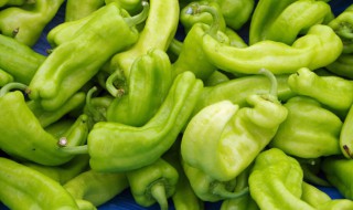 尖椒怎么挑新鲜 尖椒如何挑选新鲜的呢