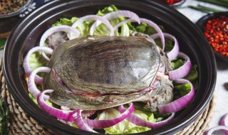 哺乳期甲鱼能吃吗 哺乳期可以吃甲鱼吗