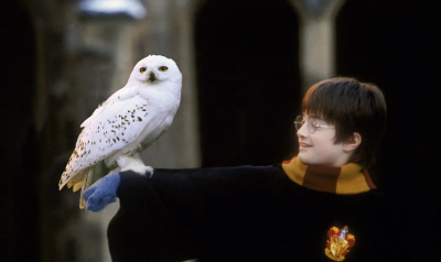 哈利波特系列电影顺序 哈利·波特系列电影剧情简介