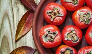 柿子能和玉米一起吃吗 柿子和玉米相克吗