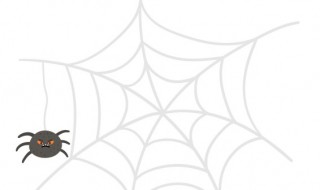 早上蜘蛛挂门口什么寓意 早上蜘蛛挂门口的解释