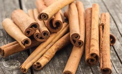 桂皮是什么树的皮 桂皮在剥皮后树还能长皮吗