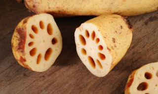 藕在家种植方法 在家如何莲藕