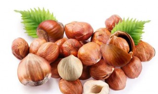 榛子人工种植的方法 榛子如何人工种植