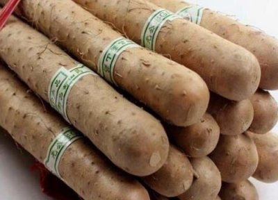 生山药简介 生山药和炒山药的区别