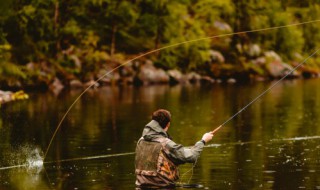 路亚助投器多少克合适 路亚助投器应该多少克合适