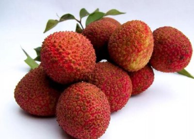 广东荔枝品种排名 目前荔枝新品种最好的哪种