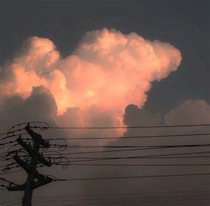 巨蟹和处女座配对指数多少 巨蟹座和处女座在一起合适吗