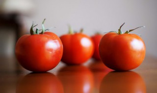 怎样识别新鲜的西红柿 新鲜的西红柿怎么看