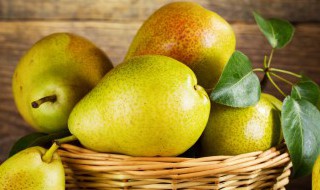 大棚酥梨种植方法 大棚酥梨如何种植