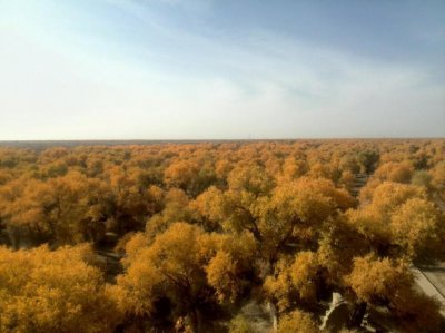 新疆自驾游攻略完整版 一条最美新疆自驾游路线推荐