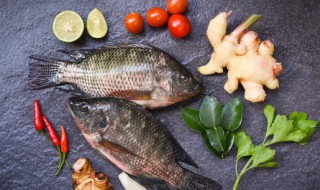 姜蒜如何放冰箱储存保鲜 姜蒜放冰箱储存保鲜的方法