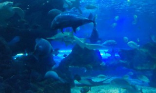 国庆湖南打卡景点有哪些 国庆湖南打卡景点推荐