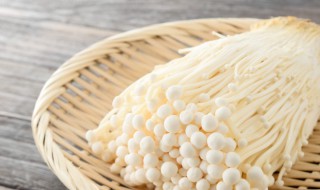 金针菇怎么样 金针菇有什么营养价值