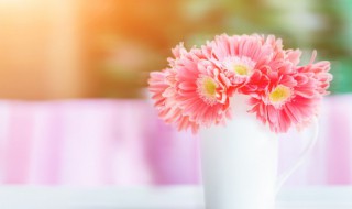 四月鲜花如何保鲜储存呢 怎么保存鲜花