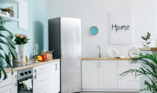 餐厅旁边摆什么大摆件好看 在餐厅旁边适合摆什么大摆件