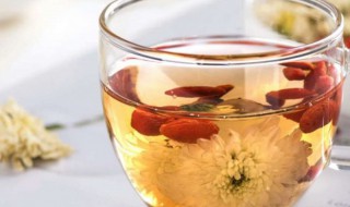 菊花枸杞茶什么时候喝最好 菊花枸杞茶哪时候喝最合适