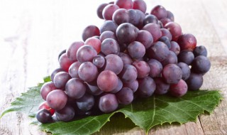 葡萄要放冰箱吗 葡萄要不要放冰箱呢