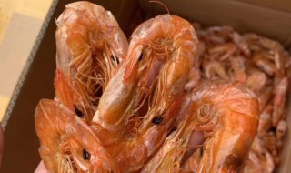干虾可以直接吃吗 干虾能不能直接食用