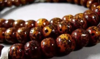 星月菩提如何分辨好坏 星月菩提怎么选购