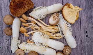 枞菌如何保鲜 野生鸡枞菌的保鲜方法