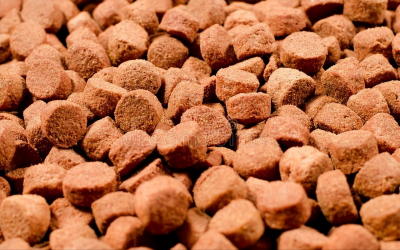 狗粮是什么原料做的 铲屎官该如何挑选一款优质狗粮