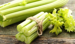 芹菜家里怎么种 家里芹菜的种植方法