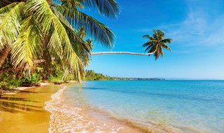 海南旅行要注意什么东西 海南旅行注意事项