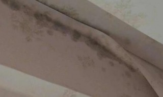 家里墙纸发霉怎么办 家里墙纸发霉的解决方法