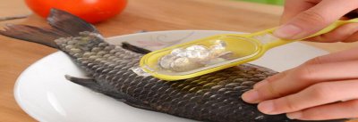 鱼鳞做肥料 鱼鳞可以做肥料吗