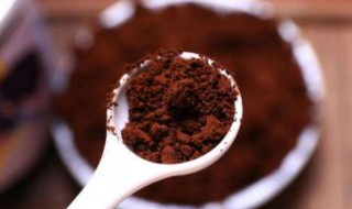 灵芝孢子粉一次吃多少合适 灵芝孢子粉一次可以吃多少呢