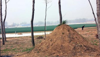 蛇窝被拆了以后蛇还会回来吗 蛇窝被毁坏蛇还会回窝吗